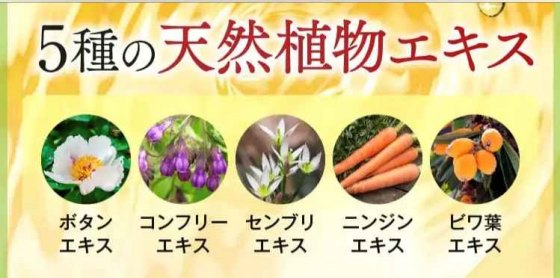 ナチュラルエアリーカラー5種類の天然植物エキス